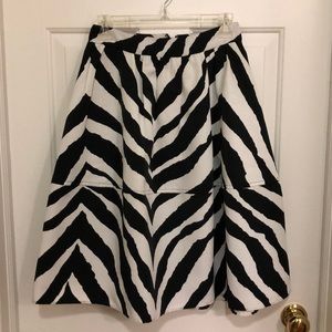 🦓 EXPRESS Circle Skirt 🦓